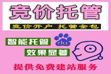 SEM托管公司案例分析：优化预算分配
